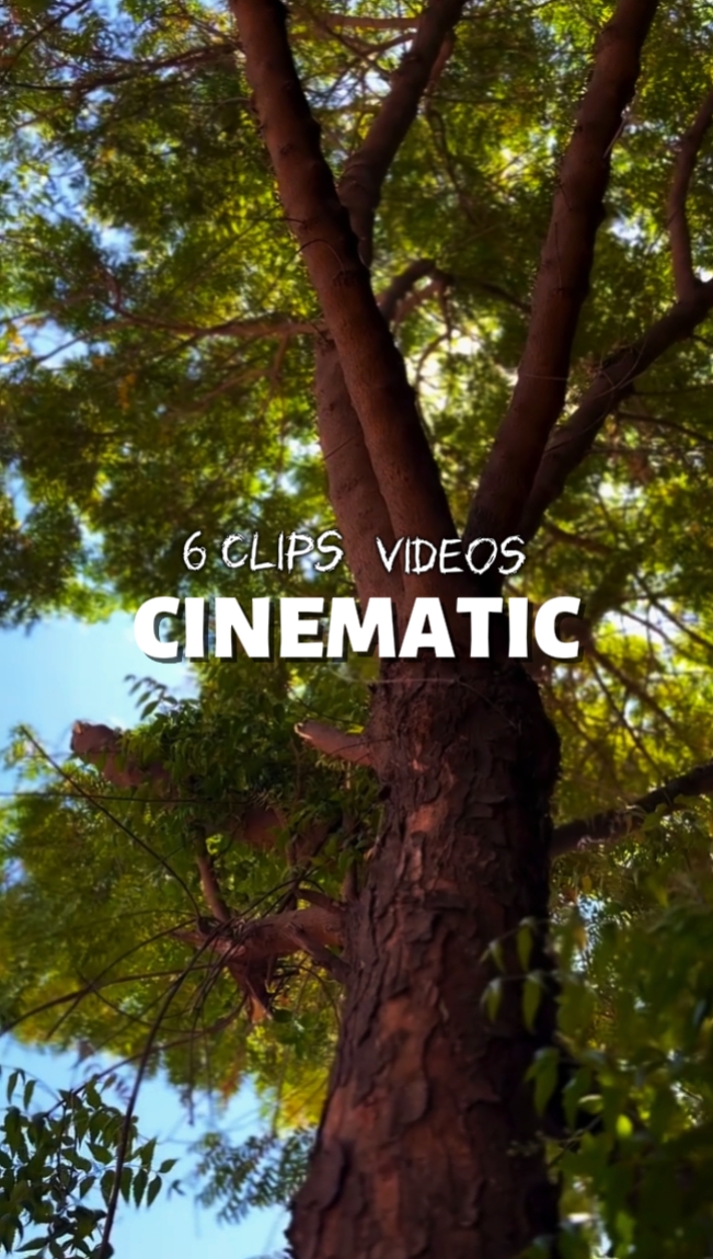 6 CLIPS CINEMATIC HD