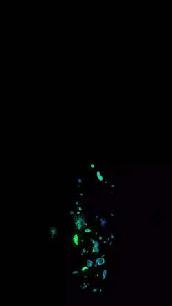 guitarras