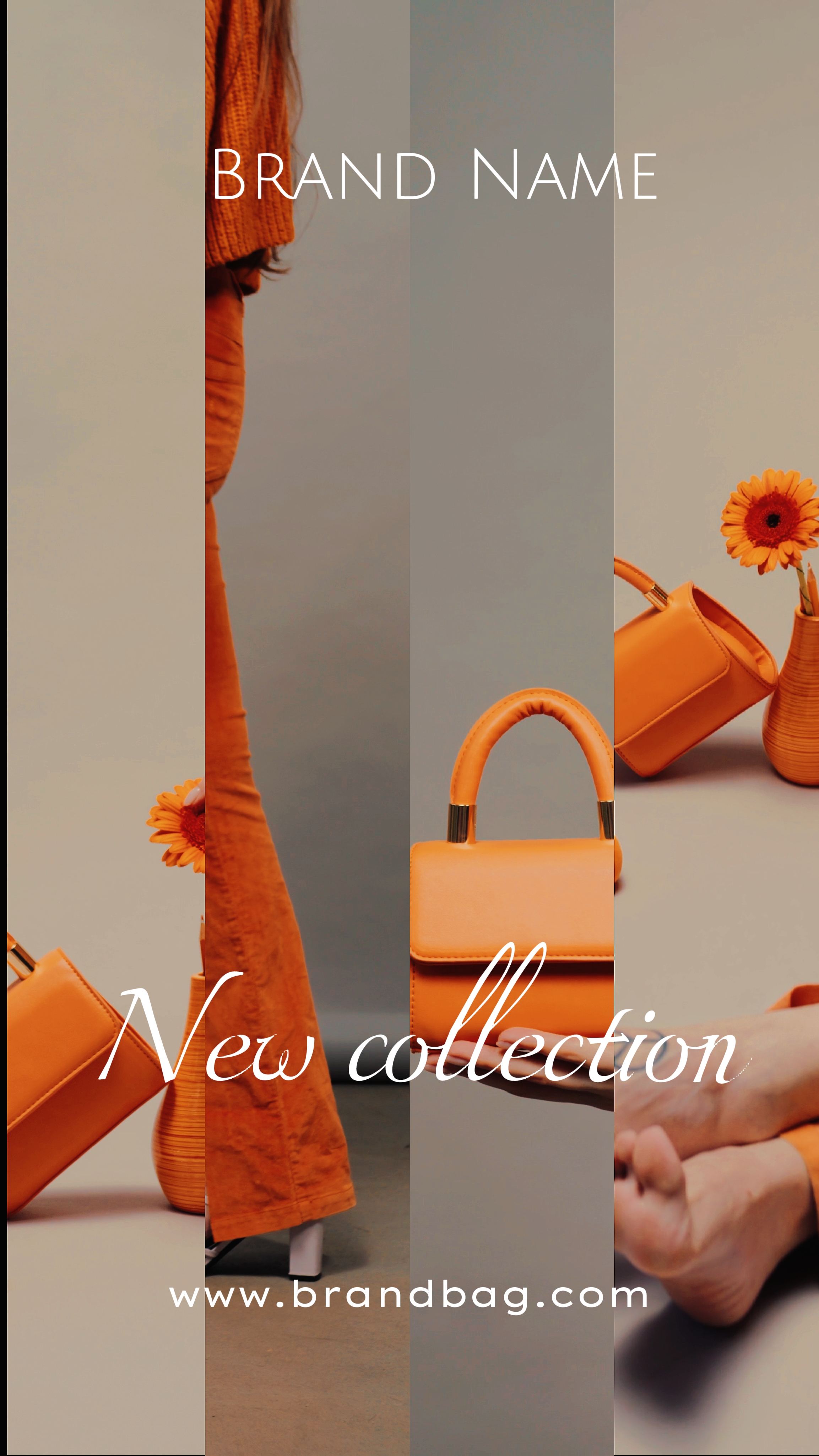 Colección de bolsos
