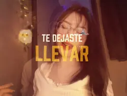 Te dejaste llevar 