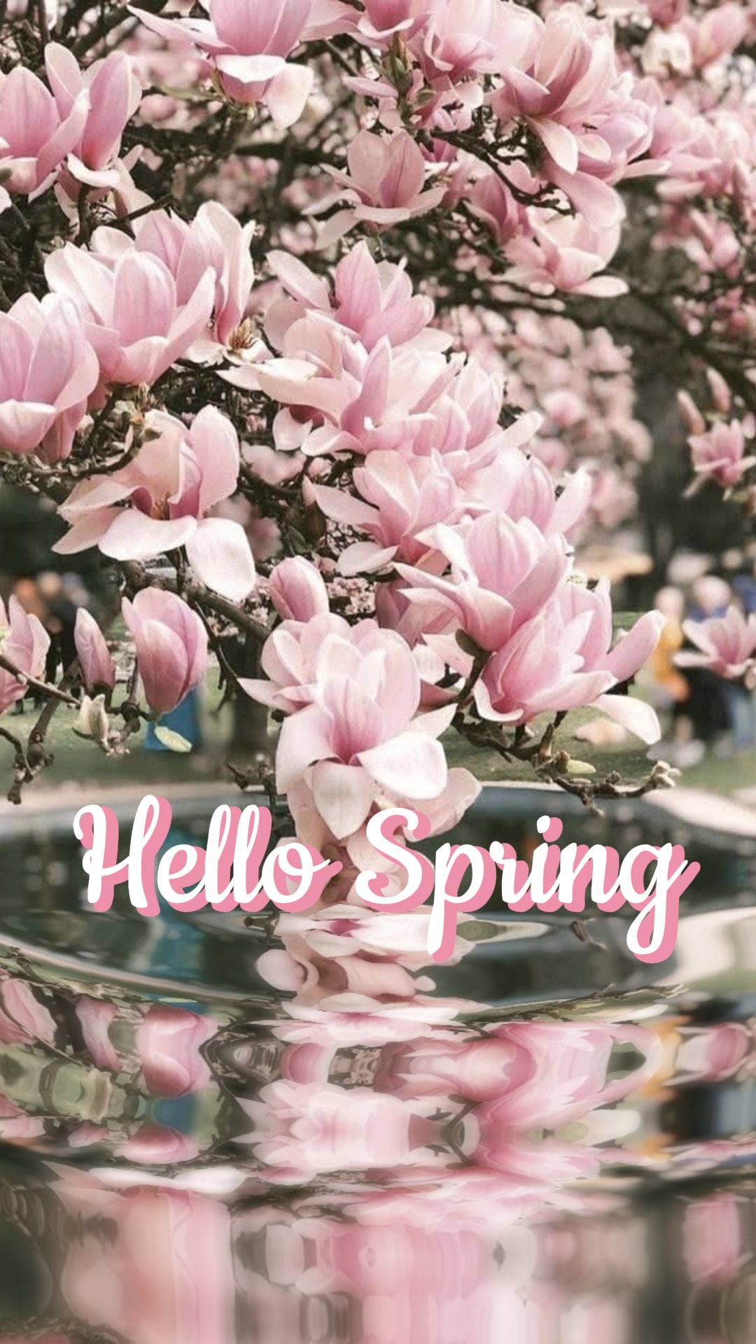 Hola primavera 🌸