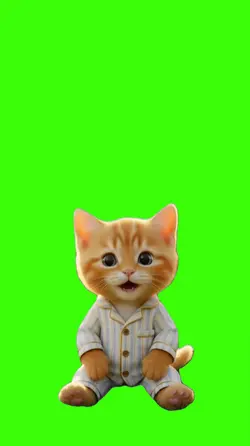 Gato/Cat.