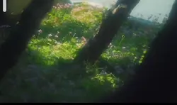  1 vid tua nhanh 