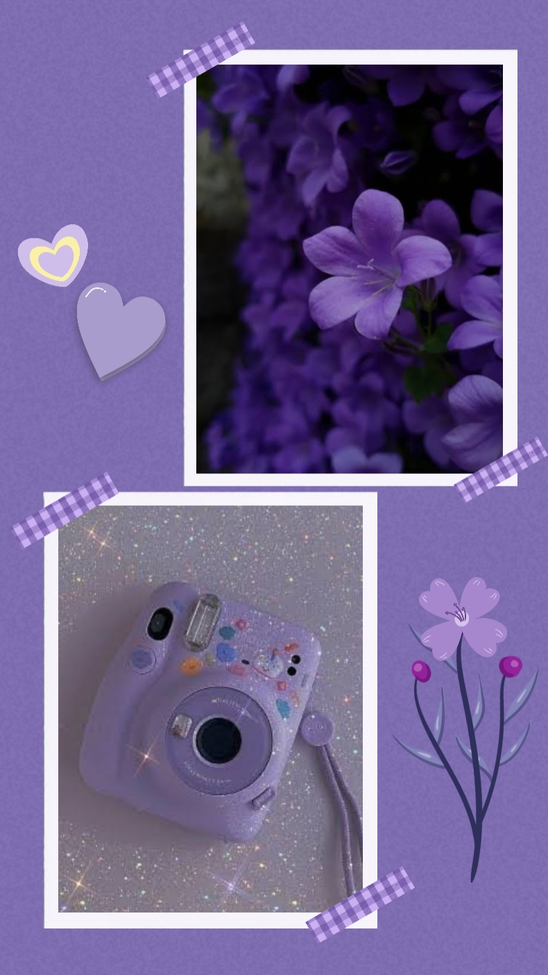 Purple frame