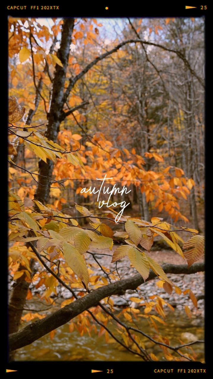 Autumn Vlog