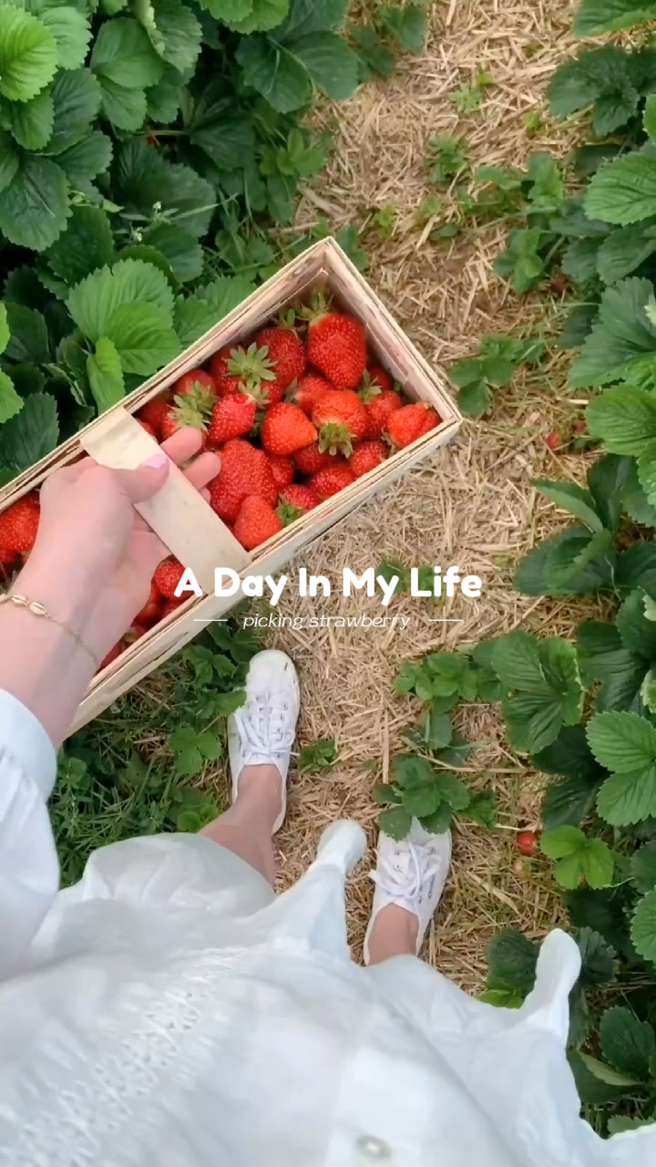 pagpili ng strawberry 