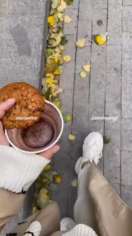 Autumn summary 