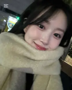 디토