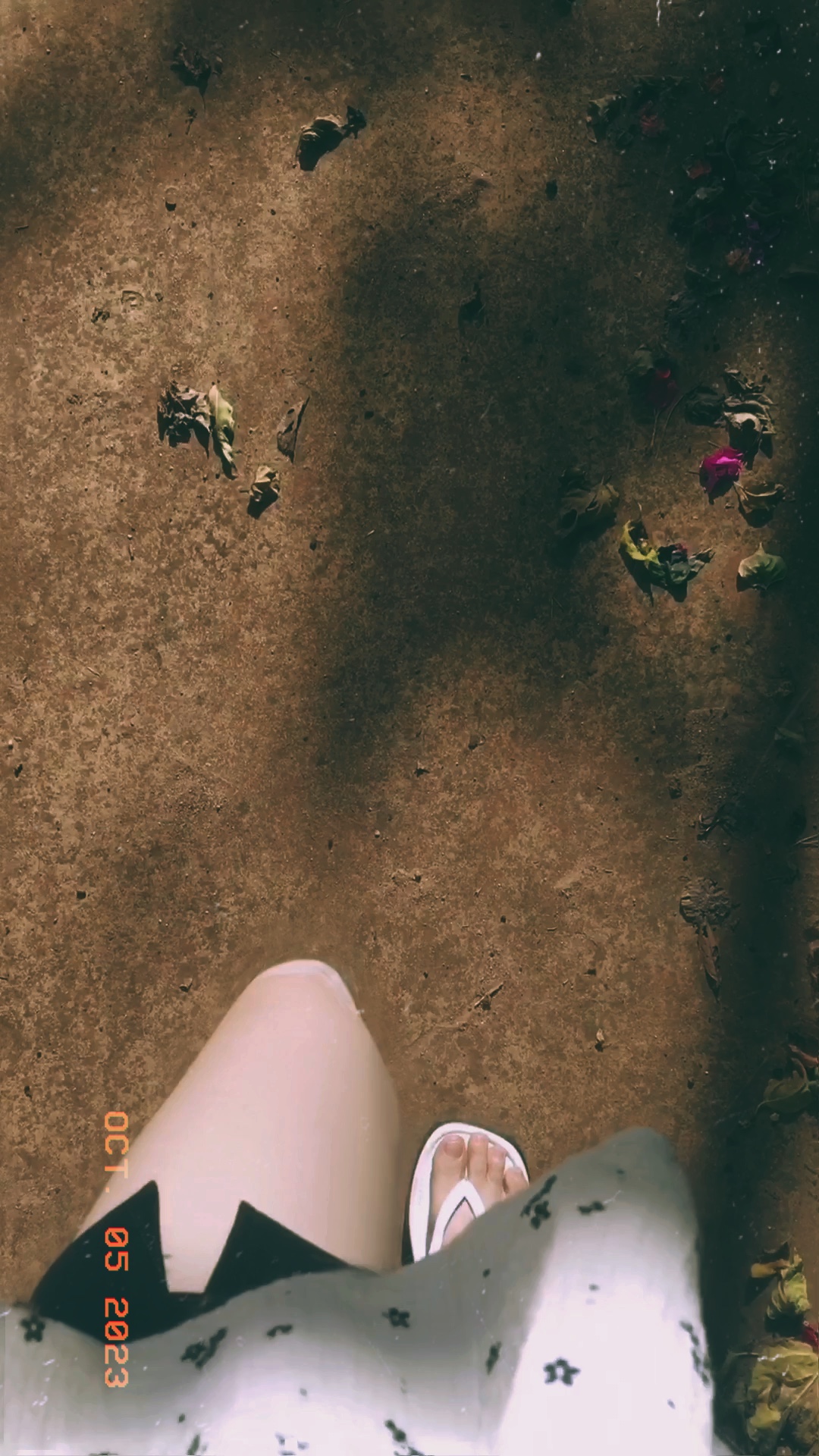 Slow Vintage