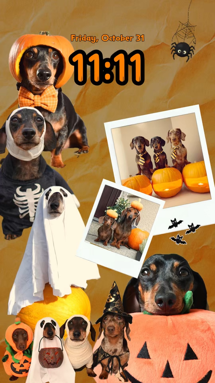 Halloween wallpaper