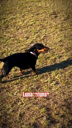 Luna’s breeze💨