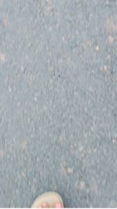 Kalyani song 