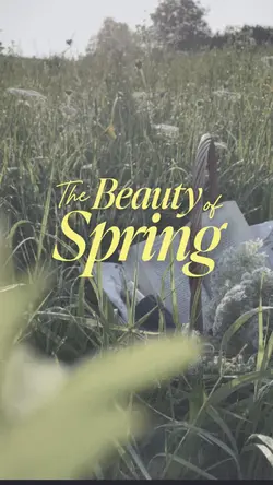 Hello Spring
