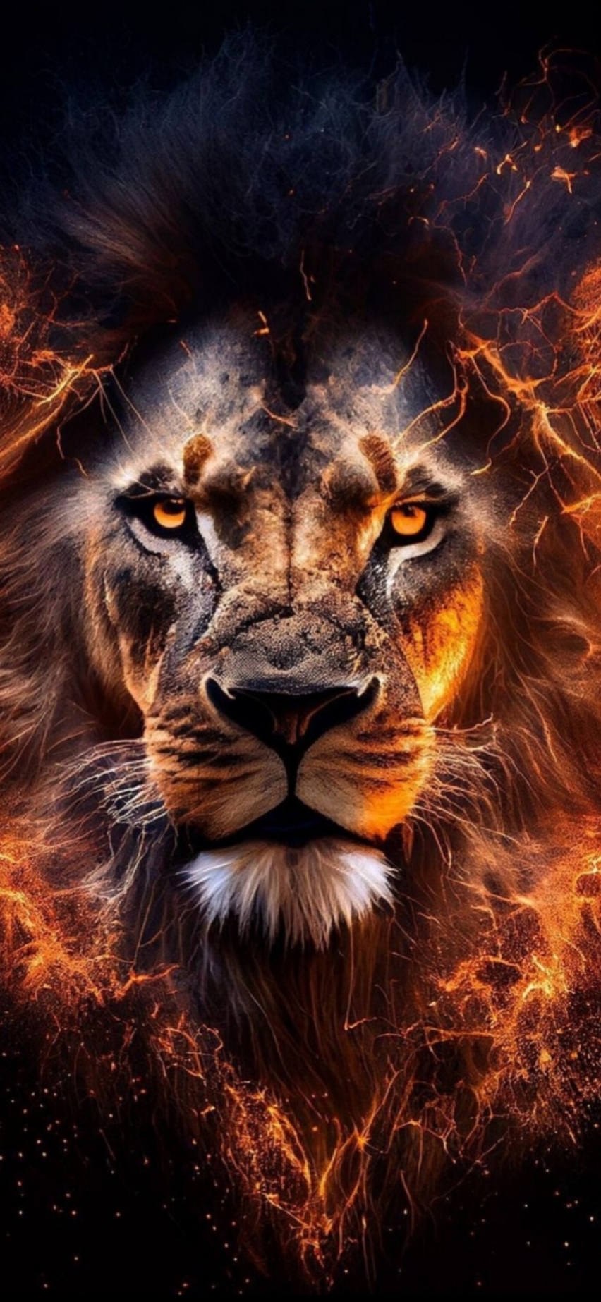 LION KING
