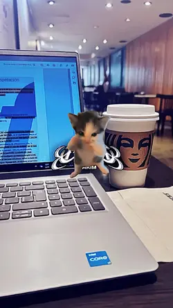 KICAU MANIA KUCING