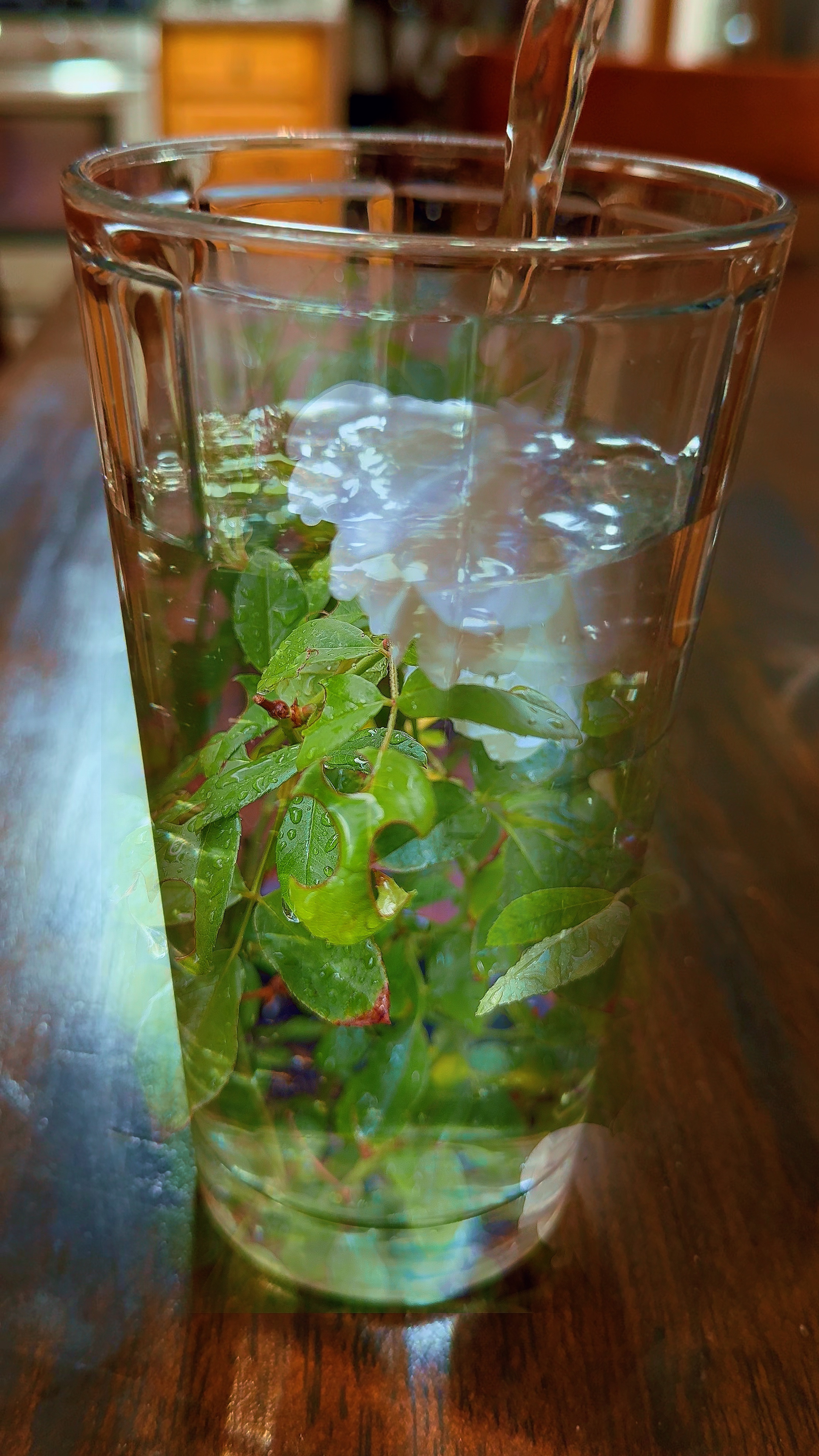 Vaso de agua 