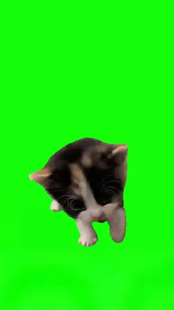 Sakadung Kading Padu