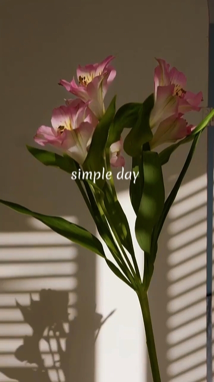 simple day 