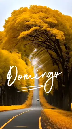 Status de domingo