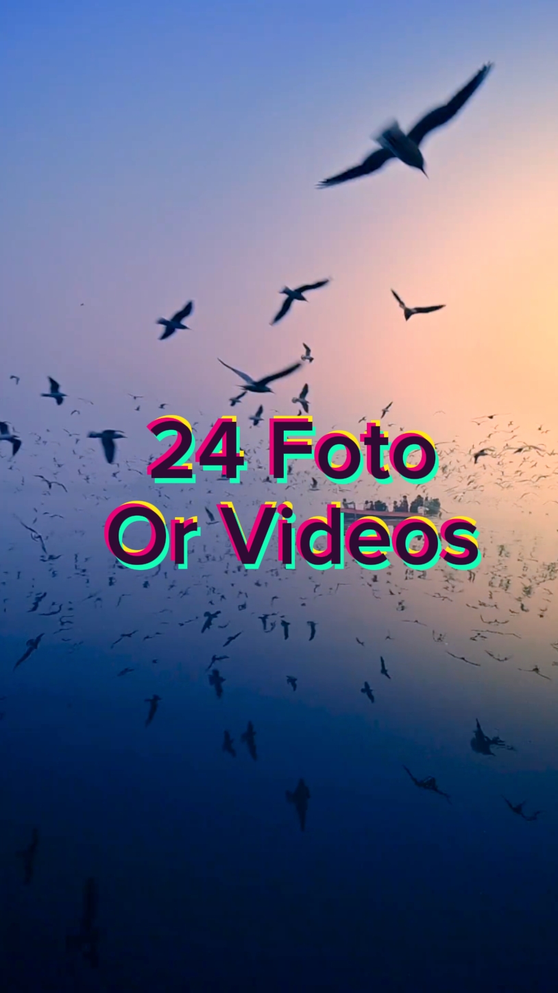 24 photos diapositives