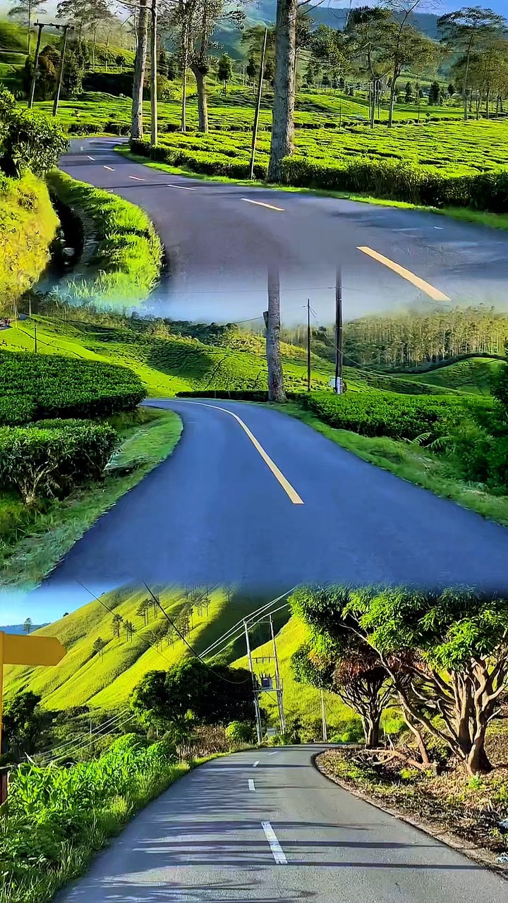 3 video collage HD