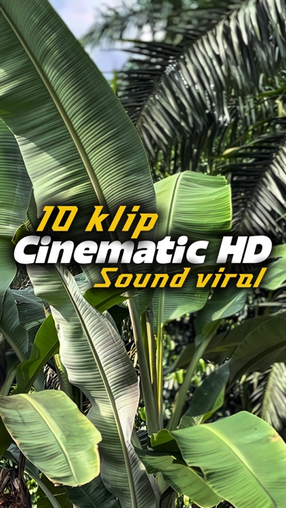 Sinematik HD 10klip