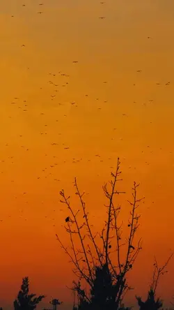 Cigrates after s3x