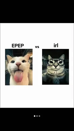 epep vs irl