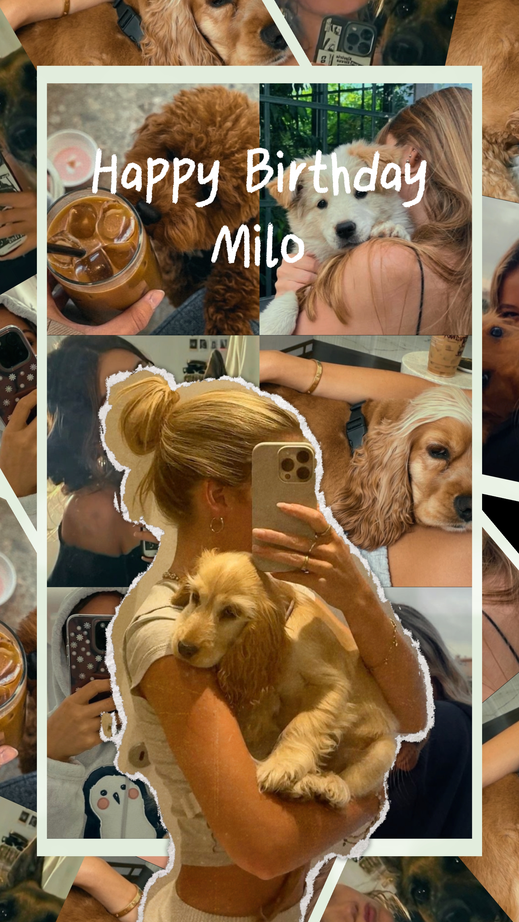 Happy Birthday Milo