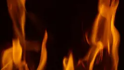 Video animasi