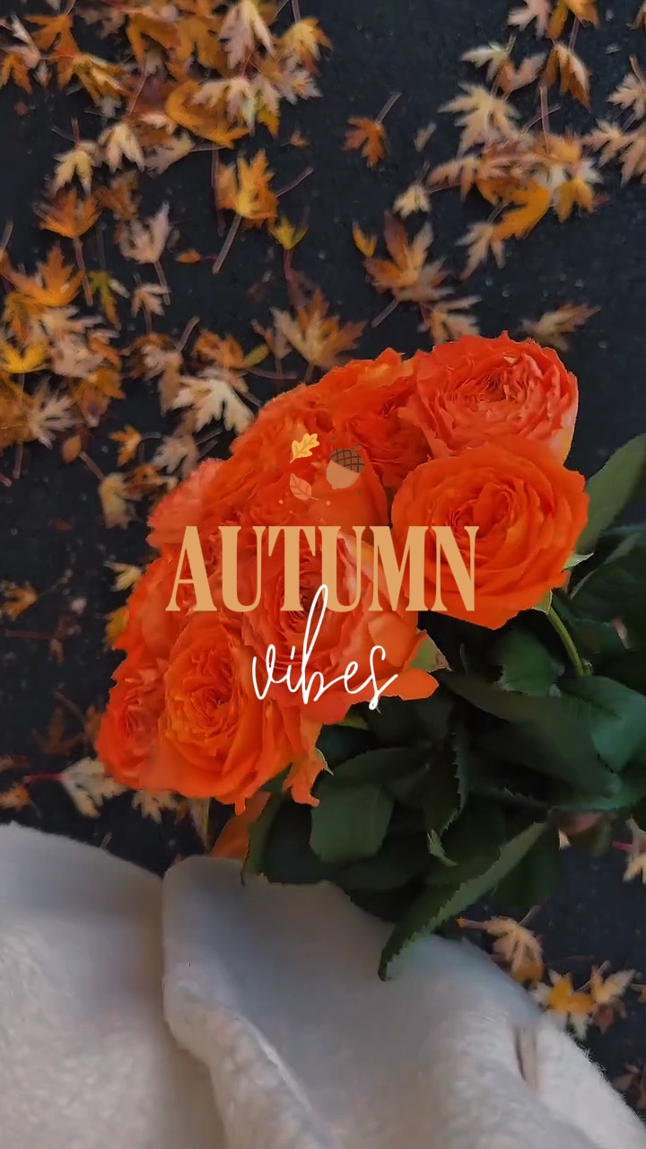 Ambiance d'automne