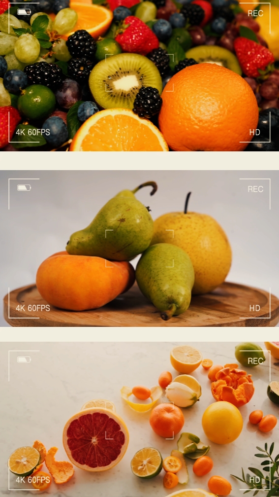 fruits 