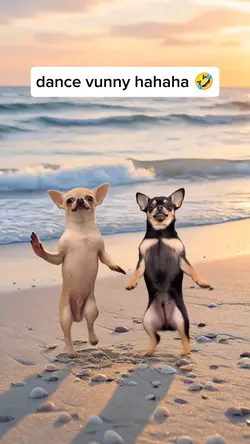 dance vunny hahaha