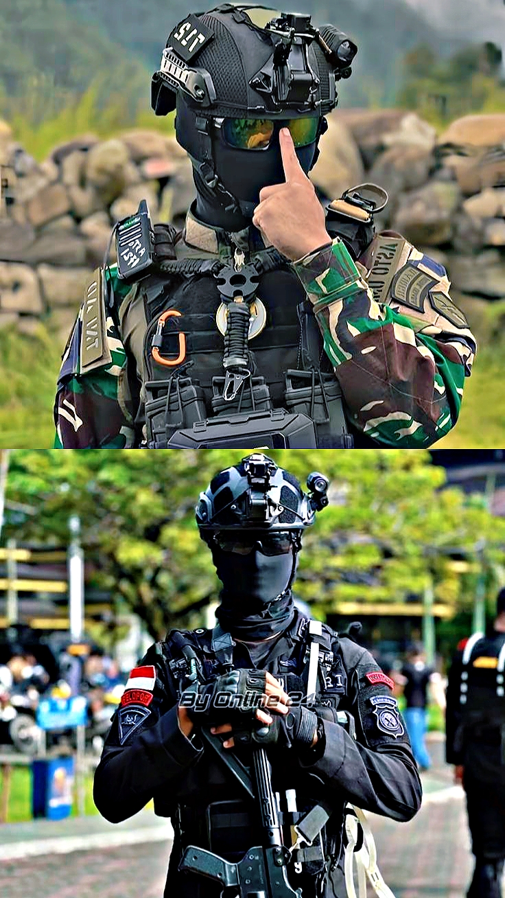 Tata Letak + 2 Foto