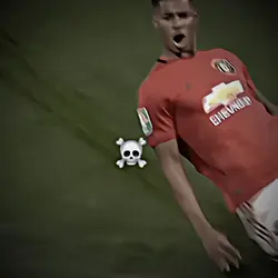 Skull face 1:1