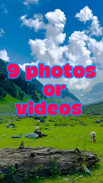 9 photos or videos 