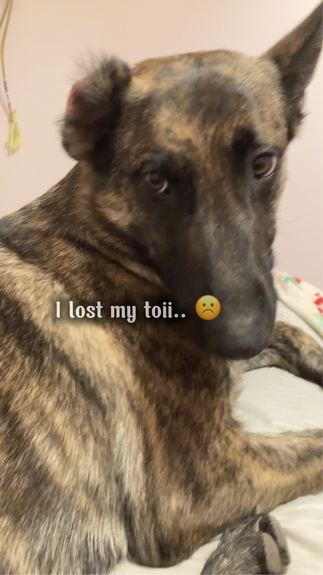 Weewie 💔
