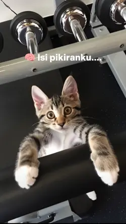 isi pikiranku