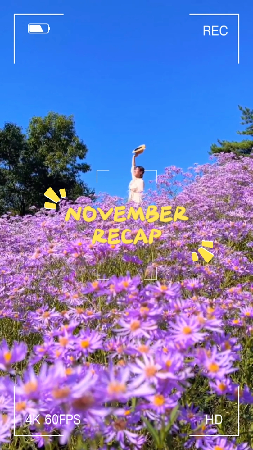 233 # resumen de noviembre