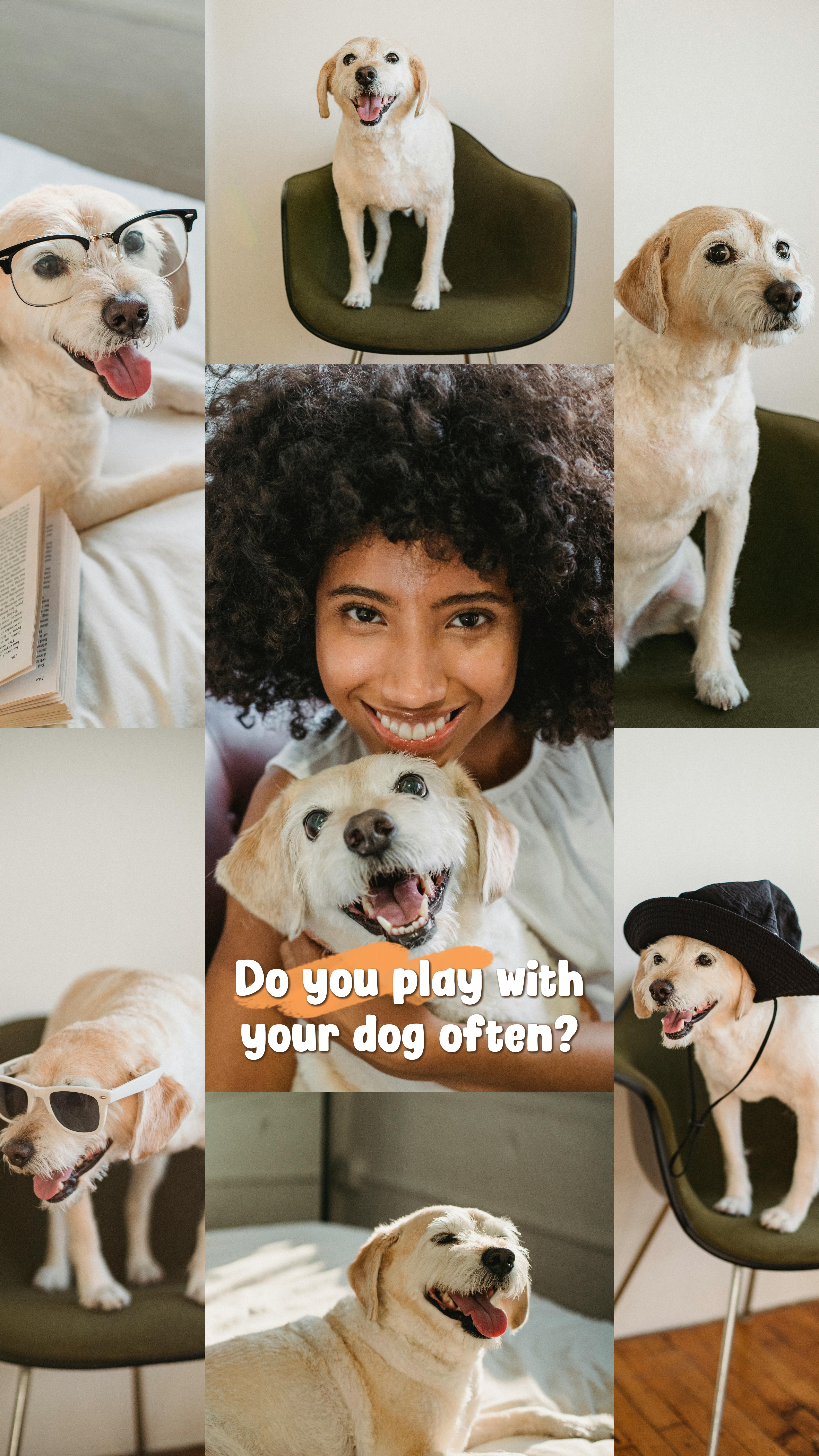 Me and My Dog