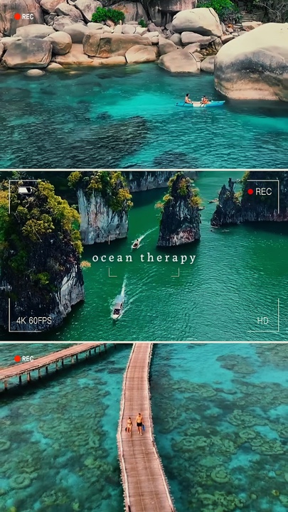 Terapia oceânica 