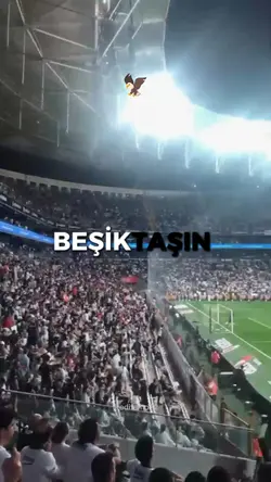 tribün marşı 