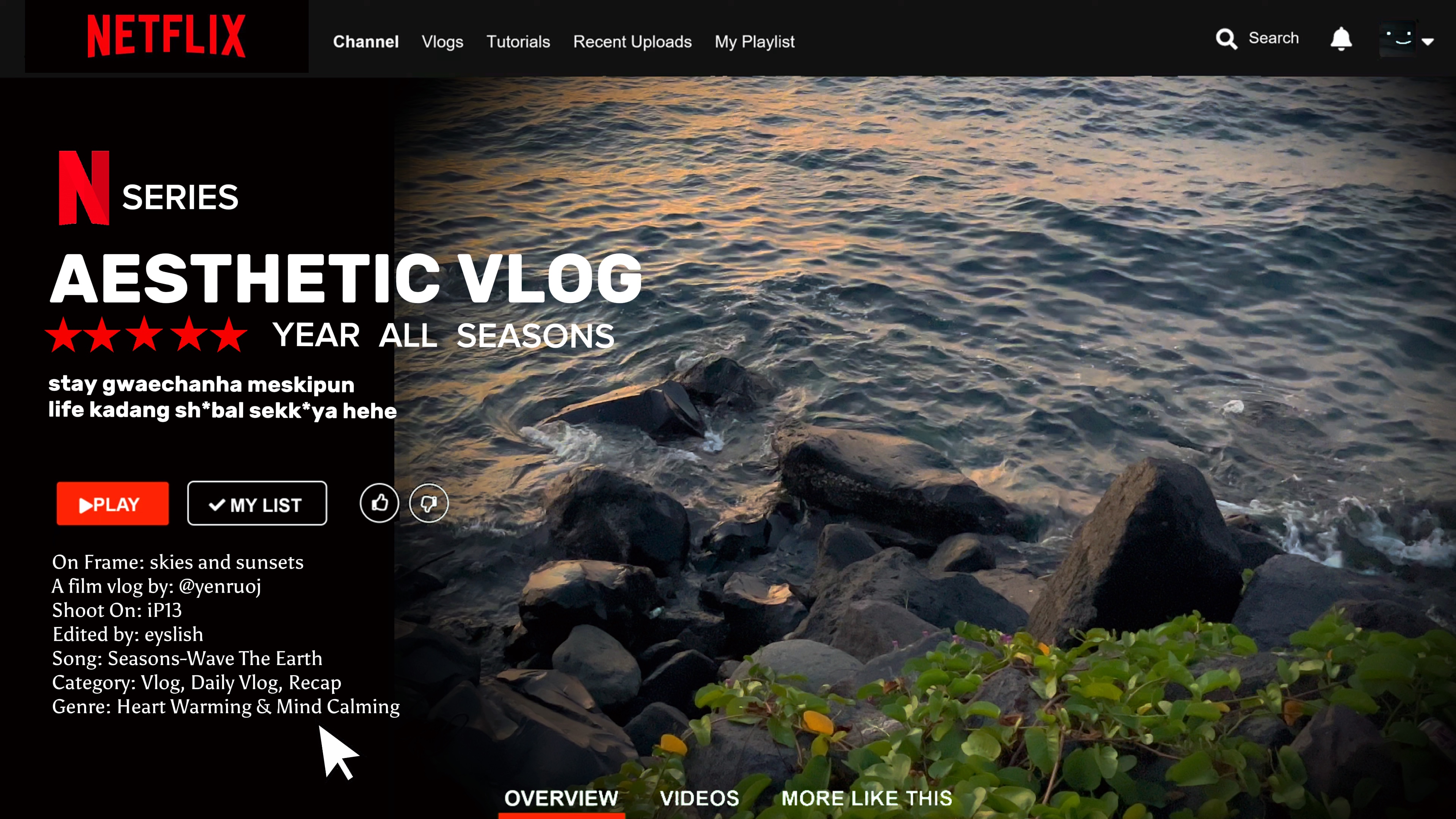 Netflix inspire vlog
