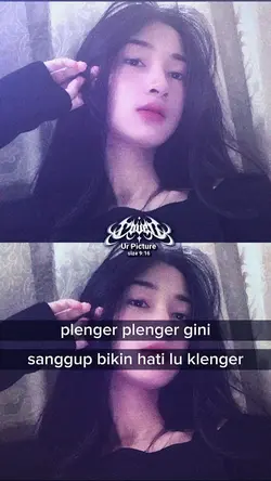 plenger plenger gini