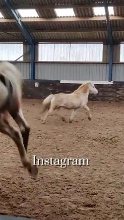Instagram vs reality