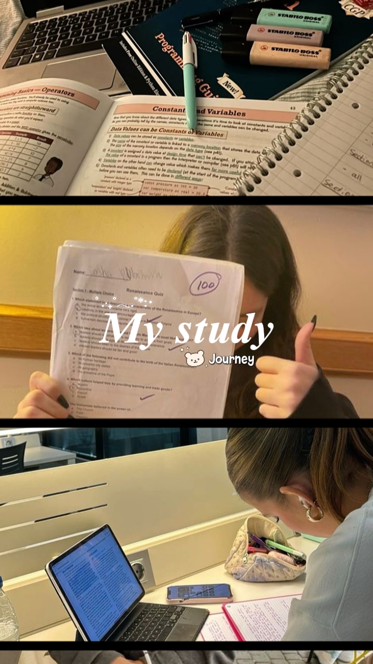 My study journey