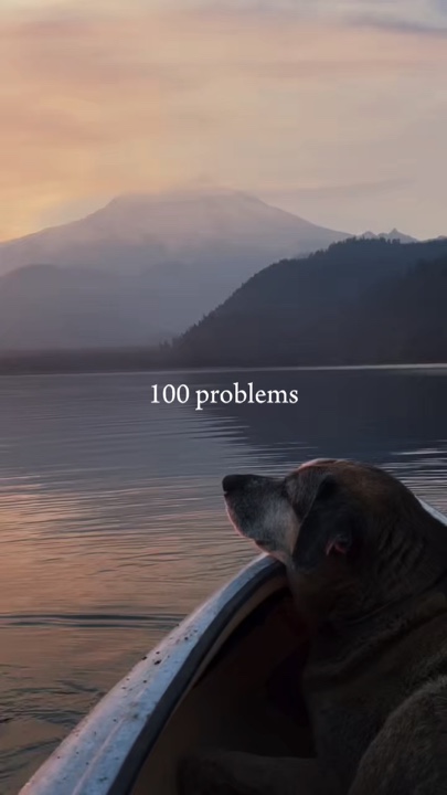 trend 100 sorunları