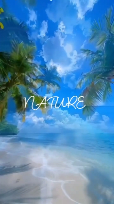 nature 4 clip