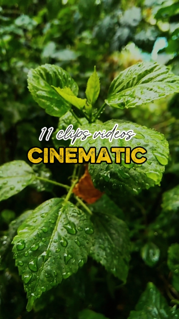 CINÉMATIQUE 11 CLIPS 