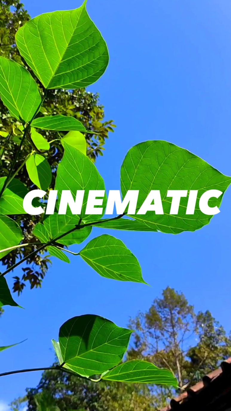 Aees Cinematic